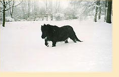 Ich gehe jetzt zum Kommunikationsseminar...