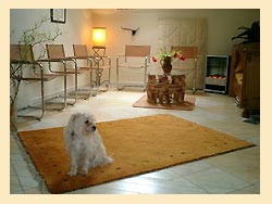 Malinda erwartet die Kursteilnehmer