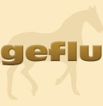 Tierkommunikation - Angela Neumann