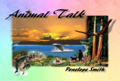 Animal Talk