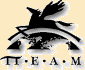 www.tteam.de